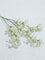 Westside Home White Gypsophila Artificial Flower