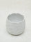 Westside Home White Scallop Textured Ceramic Planter