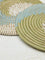 Westside Home Multicolour Swirl Braided Placemats (Set of 2)