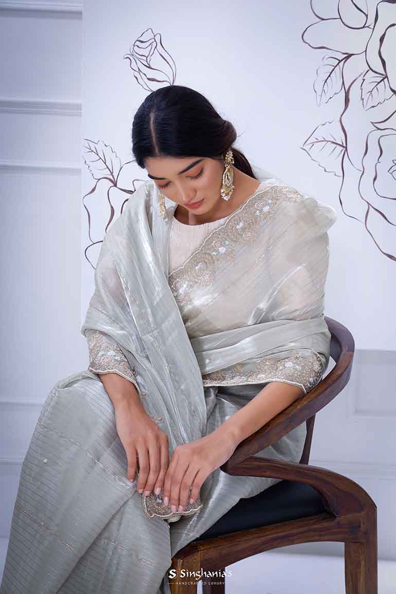 Crystal Organza Saree with Zari work border – Bawaries