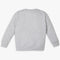 Boys Regular Fit Printed Sweat Tee