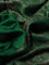 Chiniya silk saree green with plain body and woven border