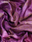 Banarasi tussar silk saree purple shade with woven buttas & floral digital prints and piping border