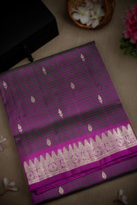 Mandir Space Grey & Purple Venkatagiri Buttis Saree